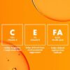 GUEST_01dc5fce-7219-4577-9c79-093f33f958ea e.l.f. SKIN Bright Icon Vitamin C + E + Ferulic Face Serum